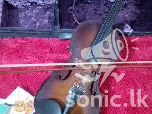 The Suzuki Violin