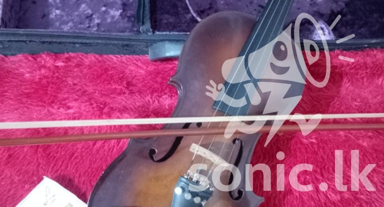 The Suzuki Violin