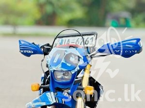 Ceygra 200