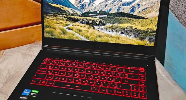 Msi Thin GF63 I5 11Gen